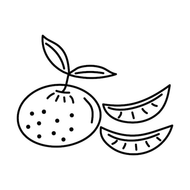 Mandarina con rodajas en estilo doodle. Fruta mandarina de año nuevo. Ilustración vectorial.