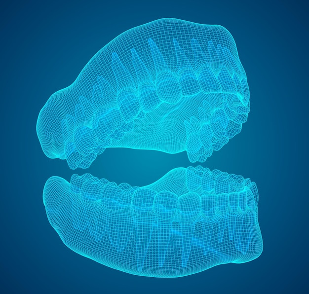 Vector mandíbula humana diseño vectorial 3d medicina y salud