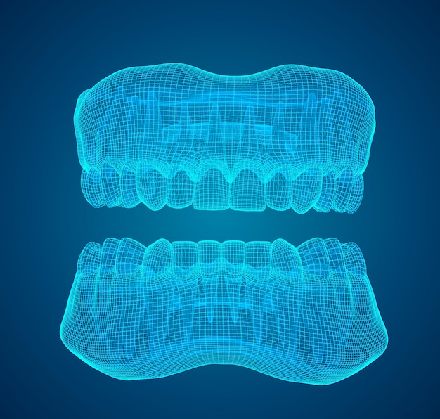 Mandíbula humana diseño vectorial 3d medicina y salud