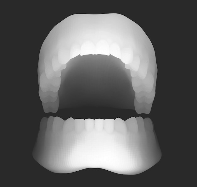 Vector mandíbula humana diseño vectorial 3d medicina y salud