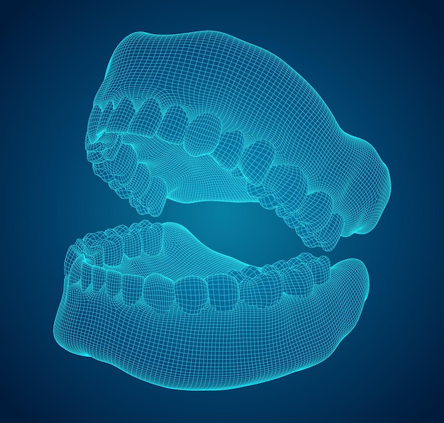 Mandíbula humana diseño vectorial 3d medicina y salud