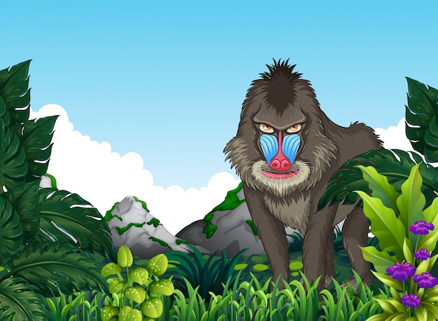 Vector mandrill babuino en el bosque