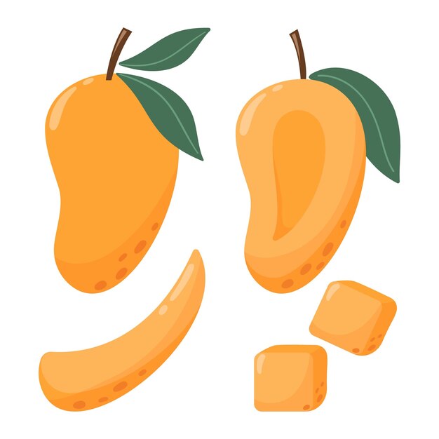 Mango conjunto entero y rebanadas colección de ilustraciones vectoriales Frutas tropicales de temporada verano