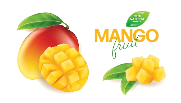 Vector mango entero y en piezas realista detallado