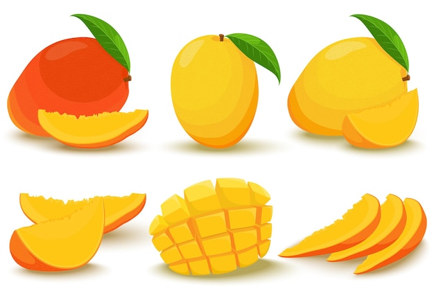 Mango. enteros y en trozos. conjunto de vector brillante de colorido medio, rebanada y mango entero. frutas exóticas frescas de dibujos animados aisladas sobre fondo blanco.