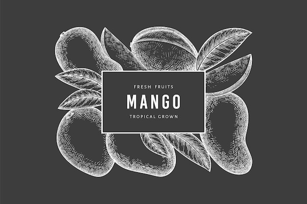 Mango de estilo boceto dibujado a mano. Ilustración de fruta fresca orgánica en pizarra. Plantilla de diseño de fruta de mango retro