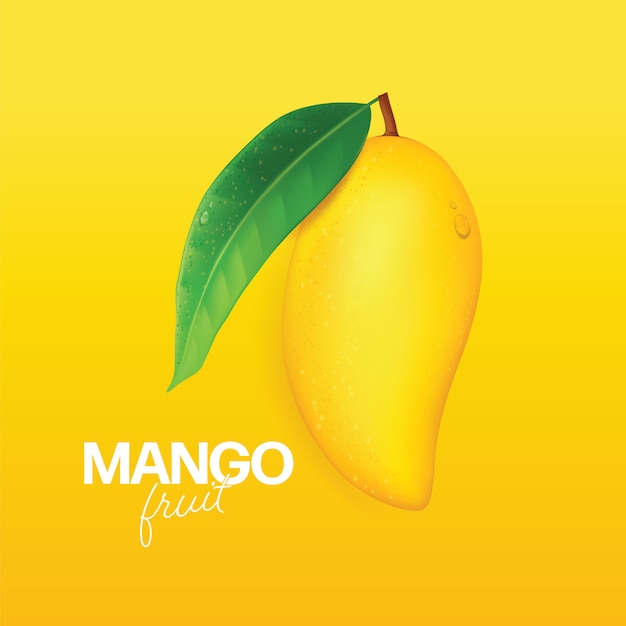 Mango fresco con rodajas y hojas ilustración