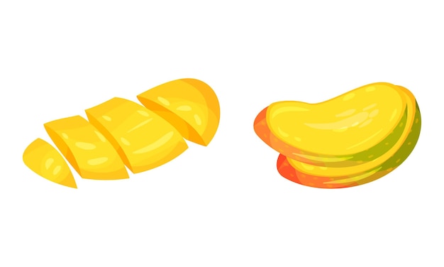 Mango maduro como conjunto vectorial de frutas de piedra comestibles tropicales