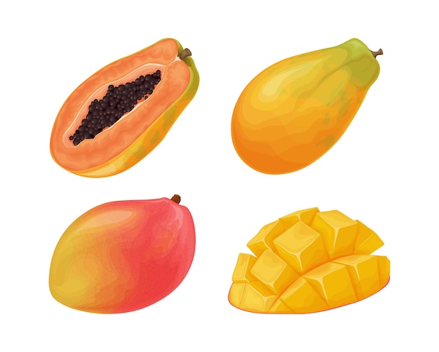 Mango y papaya frutas exóticas mango maduro papaya jugosa frutas tropicales ilustración vectorial