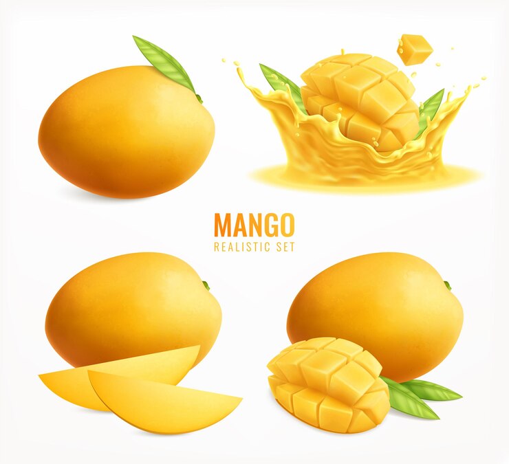 Vector mango set clipart realista aislado, frutas maduras enteras con hojas y rodajas splash