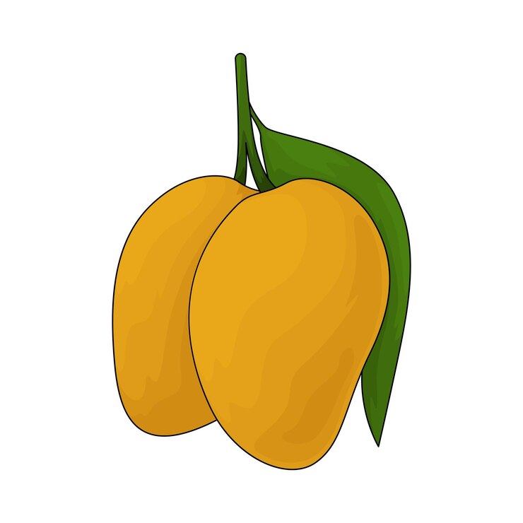 Vector el mango