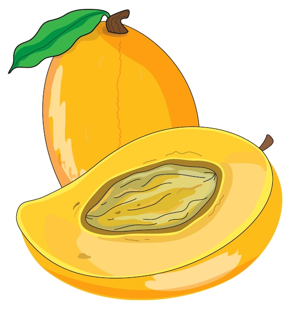 Vector mangos frescos y deliciosos