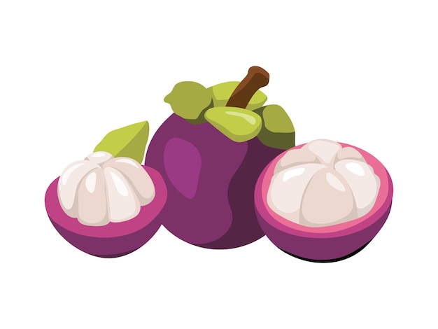 El mangostán exótico es una delicia tropical fresca