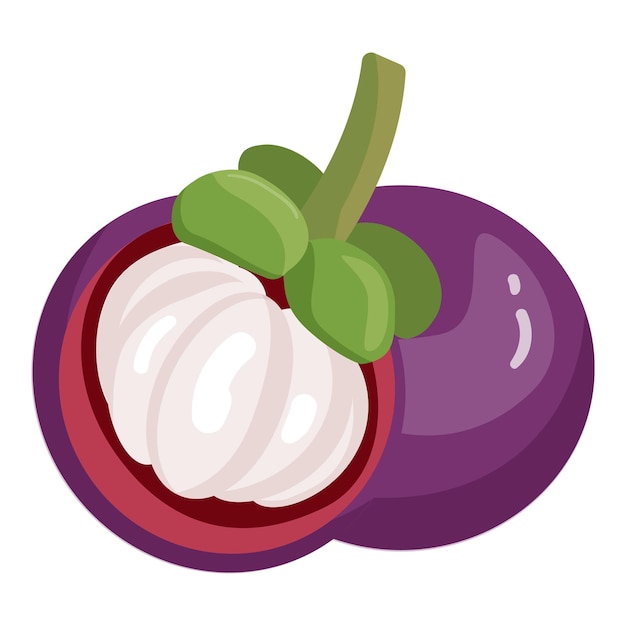 Mangostán fruta icono dibujos animados vector Garcinia mangosteno comida de verano