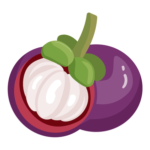 Mangostán fruta icono dibujos animados vector garcinia mangosteno comida de verano