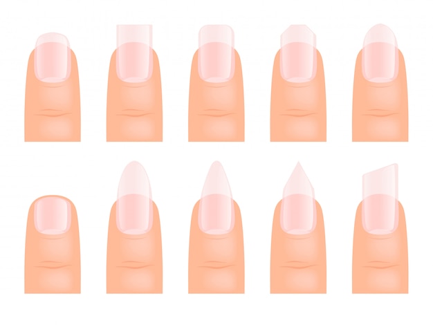 Manicure las uñas. Varios tipos de arte de uñas