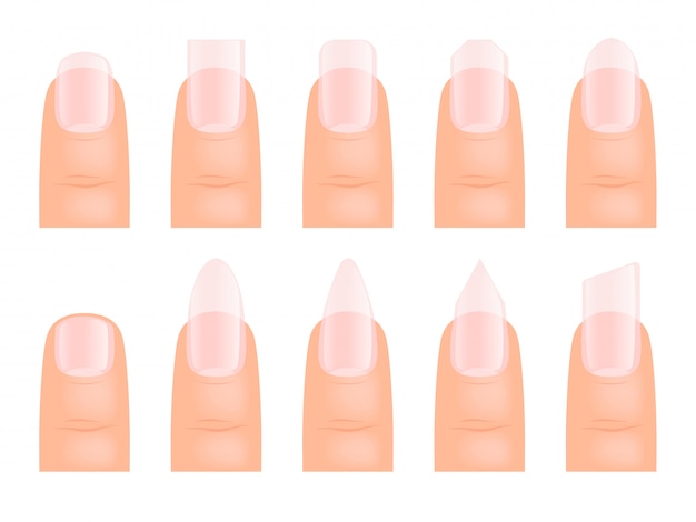 Manicure las uñas. varios tipos de arte de uñas