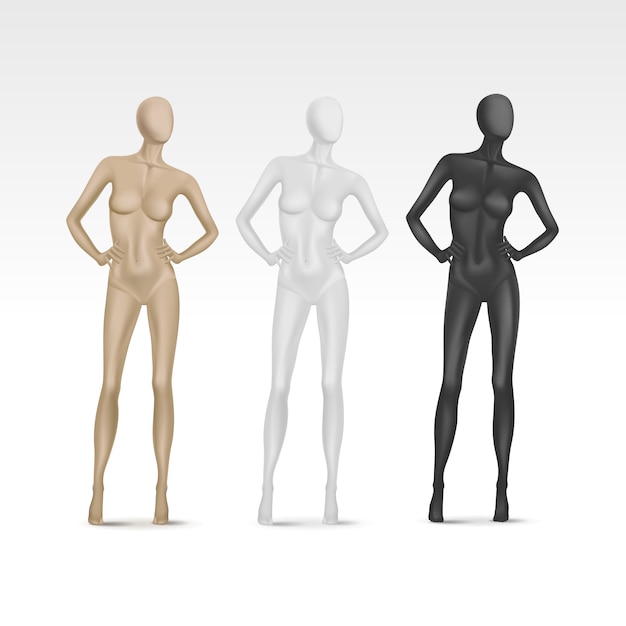 Vector maniquí femenino