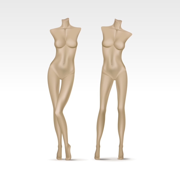 Vector maniquí femenino