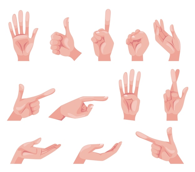 Mano brazo pose gesto dedos pellizco punto concepto conjunto colección elemento gráfico vector