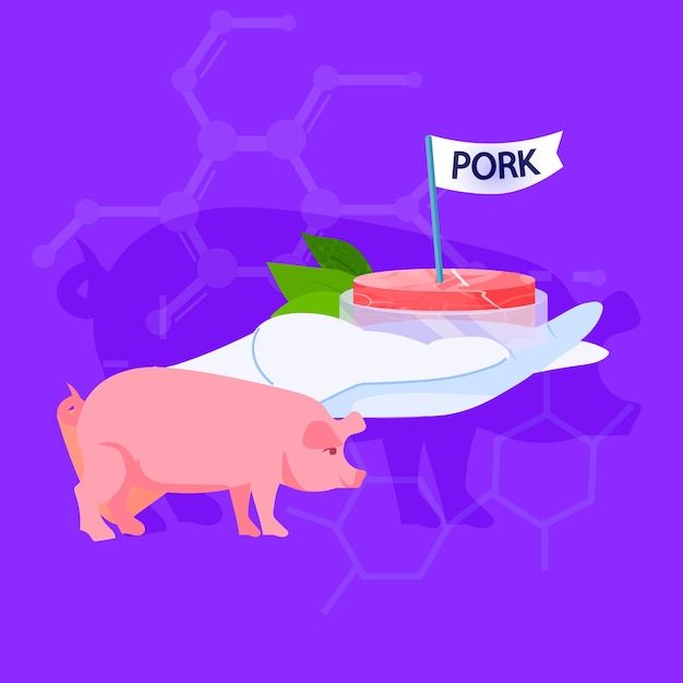 Mano de científico sosteniendo cerdo crudo rojo cultivado hecho de células animales concepto de producción de carne cultivada en laboratorio artificial ilustración vectorial