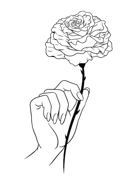 Mano dibujada de una mano femenina sosteniendo una rosa