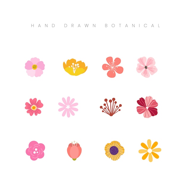 Mano Dibujada Primavera Botánica Flor Elementos Florales Conjunto Ilustración