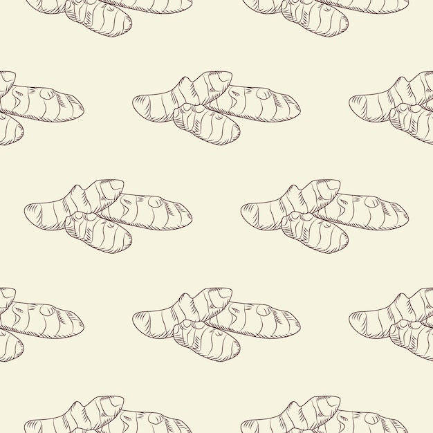 Mano dibujada raíz de jengibre de patrones sin fisuras. Papel pintado de jengibre. Grabado de fondo de estilo vintage. Diseño para papel de regalo, estampado textil. Ilustración vectorial