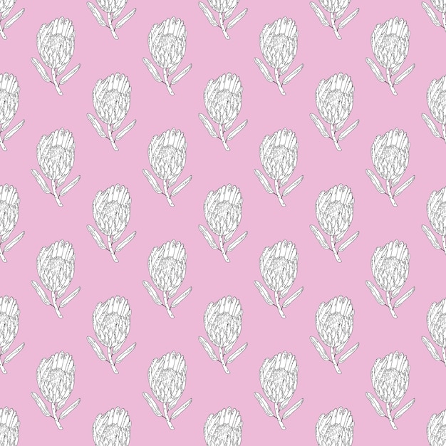 Mano dibujada vector de patrones sin fisuras arte de línea flores gráficas blancas rey protea sobre un fondo rosa