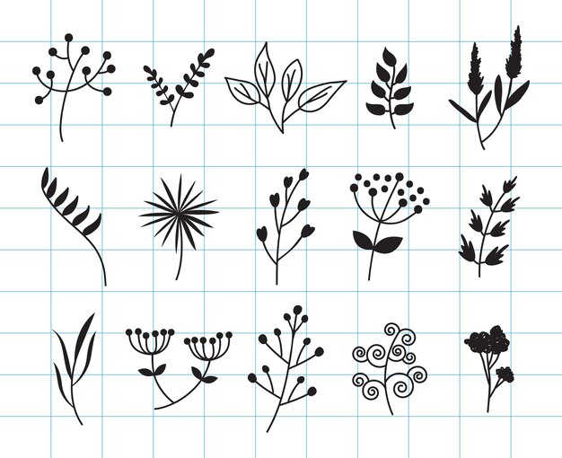 Mano dibujar hojas y colección doodle floral.