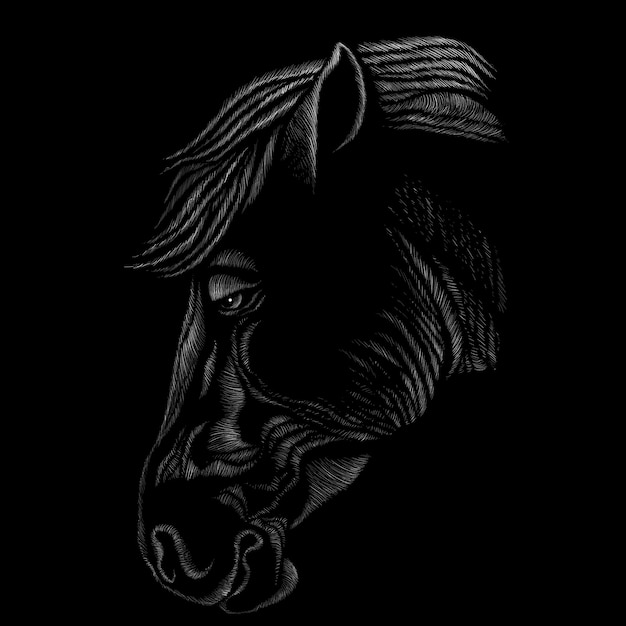 Vector mano dibujar ilustración de cabeza de caballo