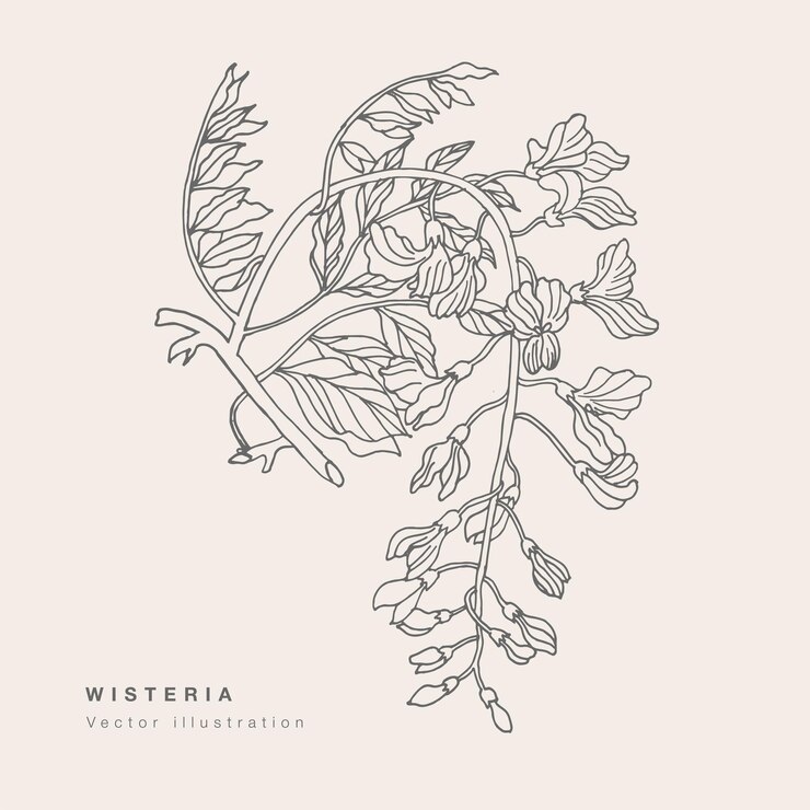 Mano dibujar ilustración de flores de glicina de vector. Guirnalda floral. Tarjeta floral botánica sobre fondo blanco.