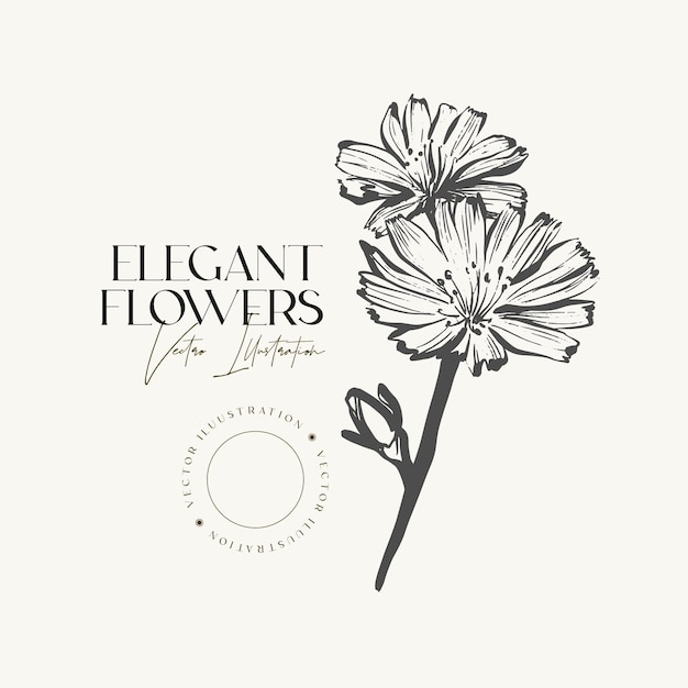 Mano elegante dibujar bosquejo hierbas o flores.