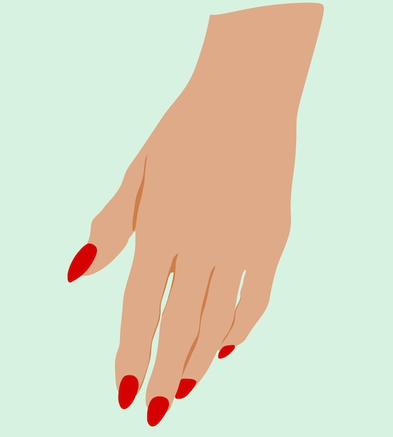 Vector mano femenina ilustración uñas manicura