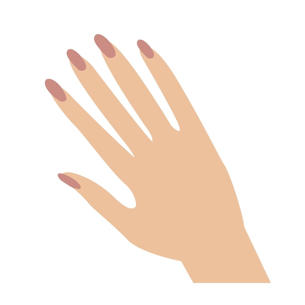 Mano femenina con manicura Ilustración vectorial de uñas de moda