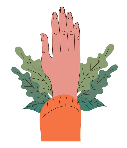 mano y hojas sobre blanco