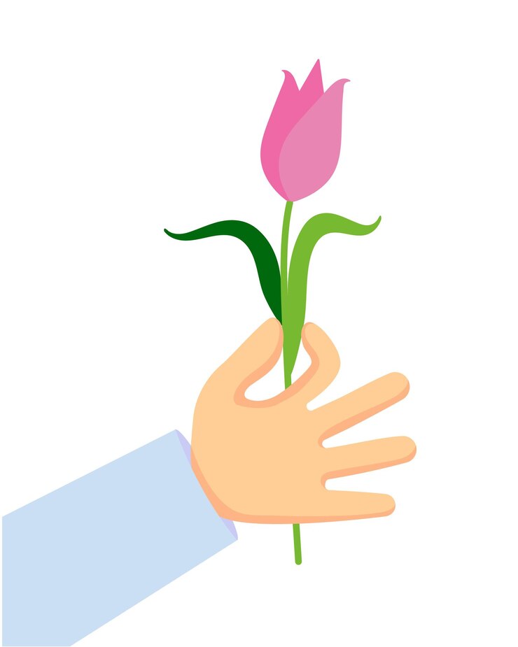 Vector la mano de un hombre sostiene una imagen de tulipán aislada en estilo plano de dibujos animados de fondo transparente