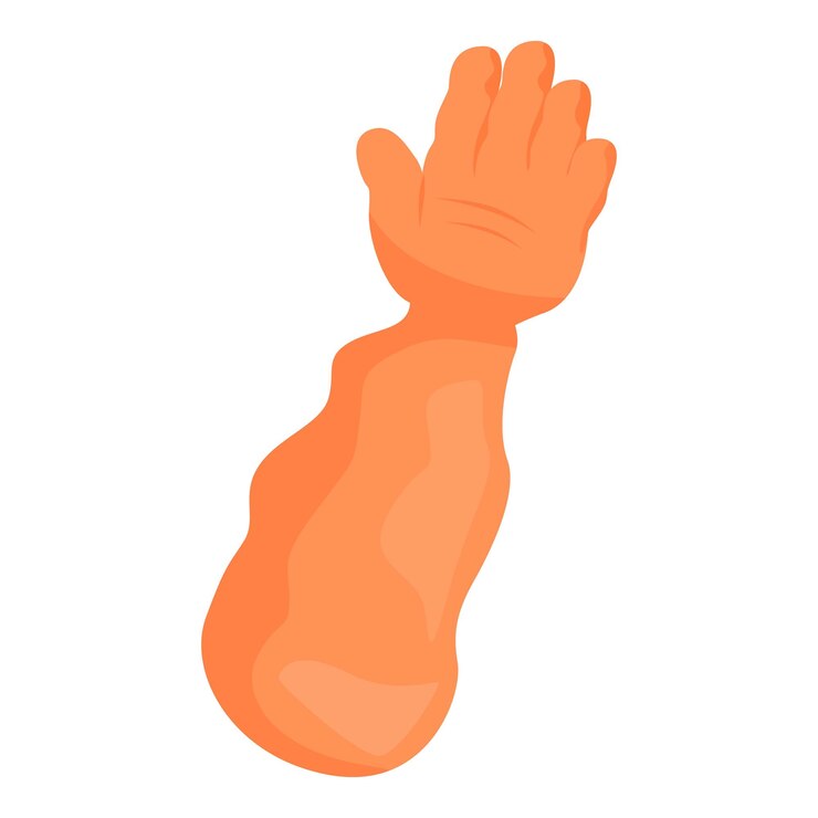 Vector la mano humana muestra el gesto número cinco sobre un fondo blanco