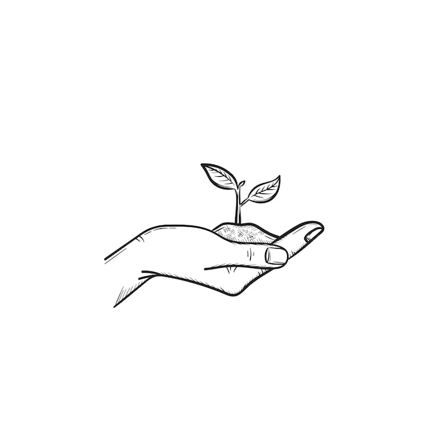 Vector mano humana sosteniendo un puñado de tierra con icono de doodle de contorno de vector dibujado a mano de brotes jóvenes. mano con ilustración de boceto de brote para impresión, web, móvil e infografía aislado sobre fondo blanco.