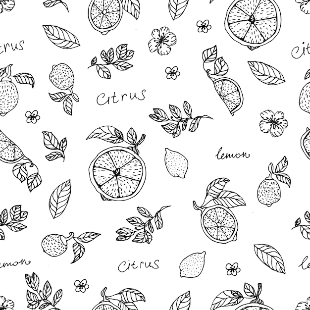 Mano de limón dibujar papel tapiz de fondo de patrones sin fisuras Lindo patrón sin costuras con limones Patrón sin costuras de vector con hojas de limón y flor Línea de cítricos fondo sin costuras