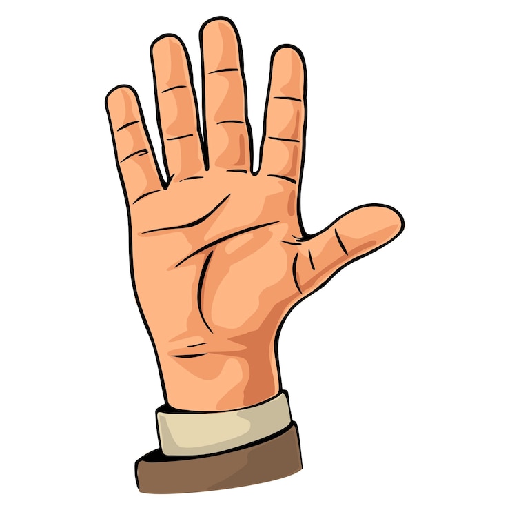 Vector mano masculina que muestra cinco dedos ilustración plana de color vectorial aislada en un fondo blanco mano