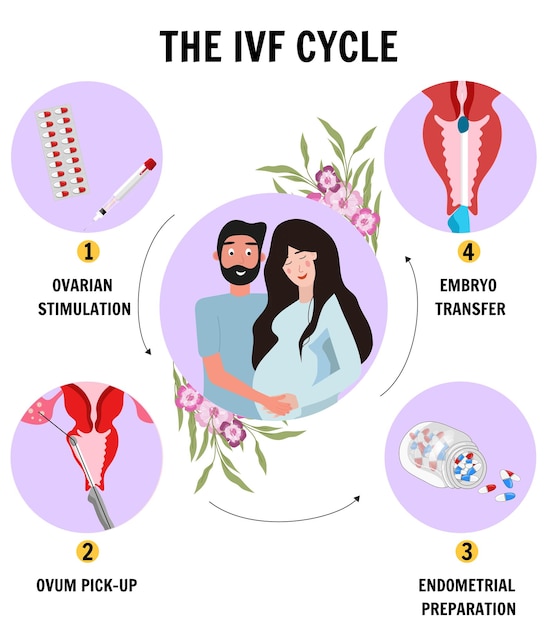 Vector mano médica dibujada diseño plano ivf infografía proceso de fertilización in vitro en vector