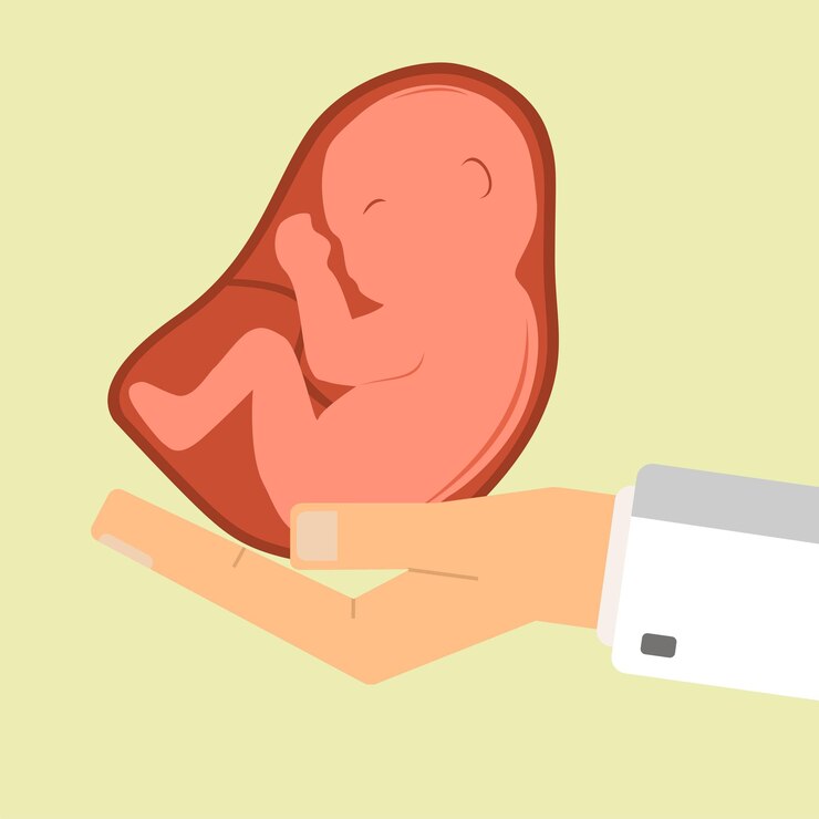 La mano del médico que sostiene la ilustración vectorial del concepto de salud del embrión humano