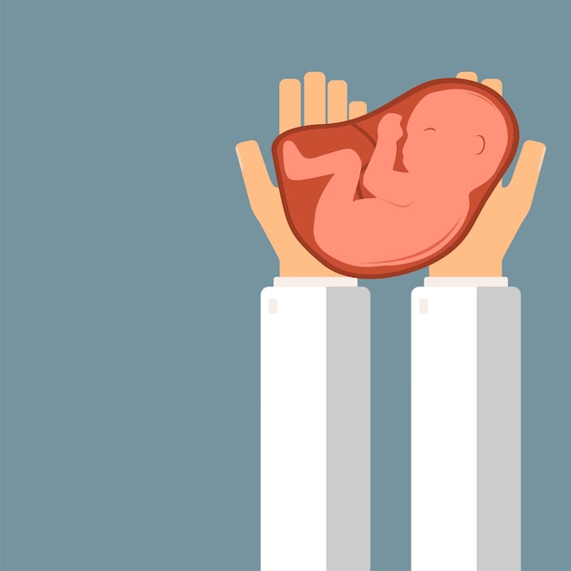 La mano del médico que sostiene la ilustración vectorial del concepto de salud del embrión humano