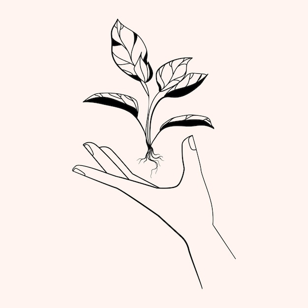 Mano minimalista sosteniendo una planta en crecimiento Línea de arte Logo Icon Emblema Vector
