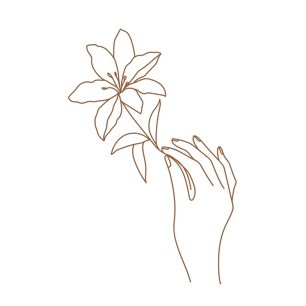Mano de mujer delicada con flor de lirio Logotipo de mano femenina
