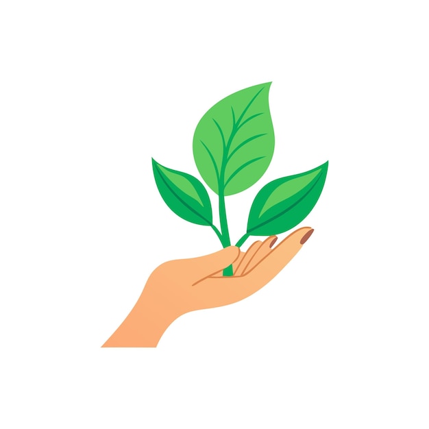 La mano de la mujer sosteniendo una hoja verde ilustración vectorial plana aislada sobre fondo blanco