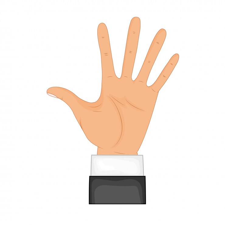 Vector de la mano en pose. mano masculina o femenina en estilo de dibujos animados