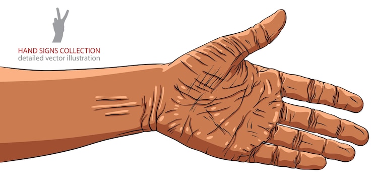 Vector mano preparada para el apretón de manos etnicidad africana ilustración vectorial detallada