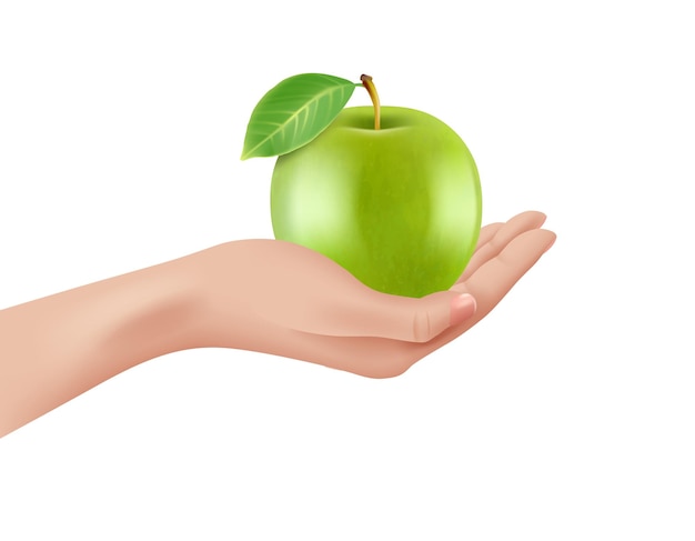La mano que sostiene la manzana verde manzana sana en la mano de la mujer Vector plantilla realista aislada en blanco